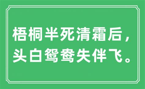 反白 意思|反白 是什么意思？